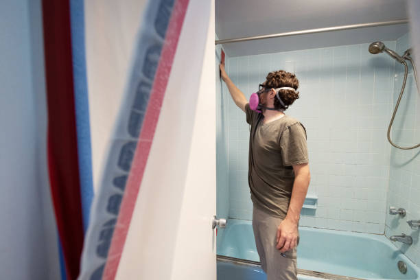 Best Mold Damage Restoration  in Homeland, CA