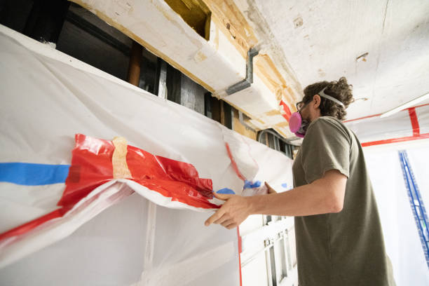 Best Black Mold Removal  in Homeland, CA