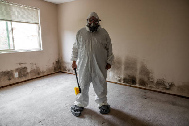 Best Biohazard Mold Removal  in Homeland, CA